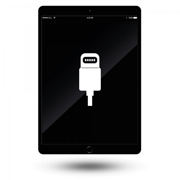 iPad 8 10,2" 2020 Ladeanschluss Reparatur / Austausch