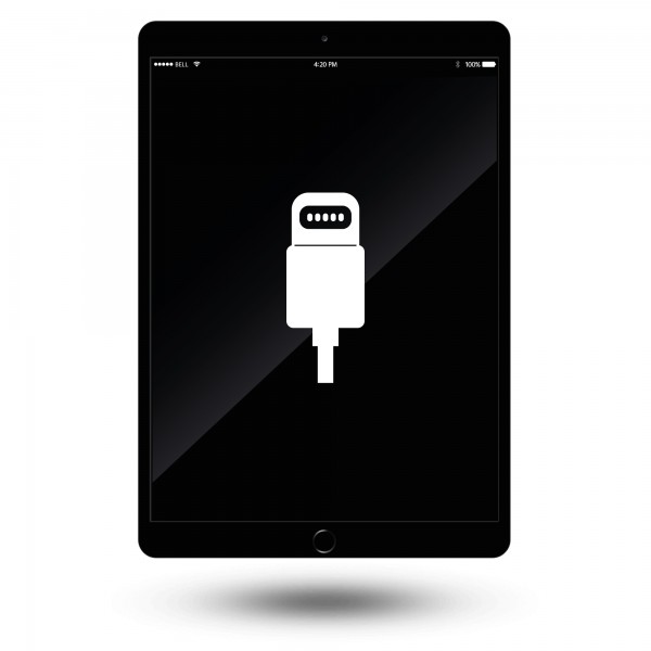 iPad 9.7" (2017) Ladeanschluss Reparatur / Austausch