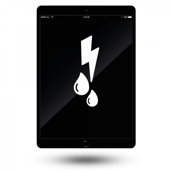 iPad Pro 12,9" Wasserschaden Behandlung