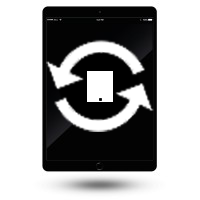 iPad 5 Herstelleraustausch