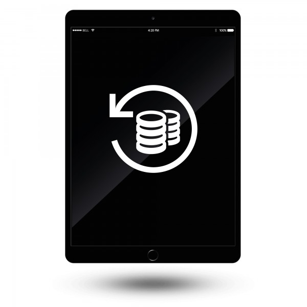 iPad Pro 11" 2020 Datenrettung